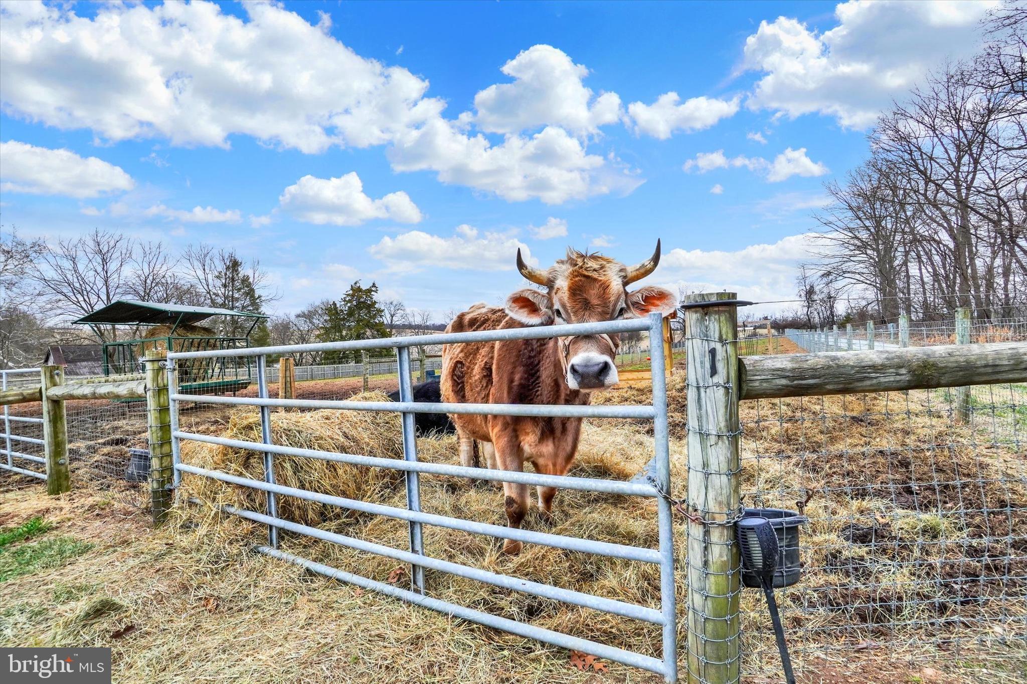 8272 Woodbine Road Airville, PA 17302 - Photo 52 of 68 Hello.....