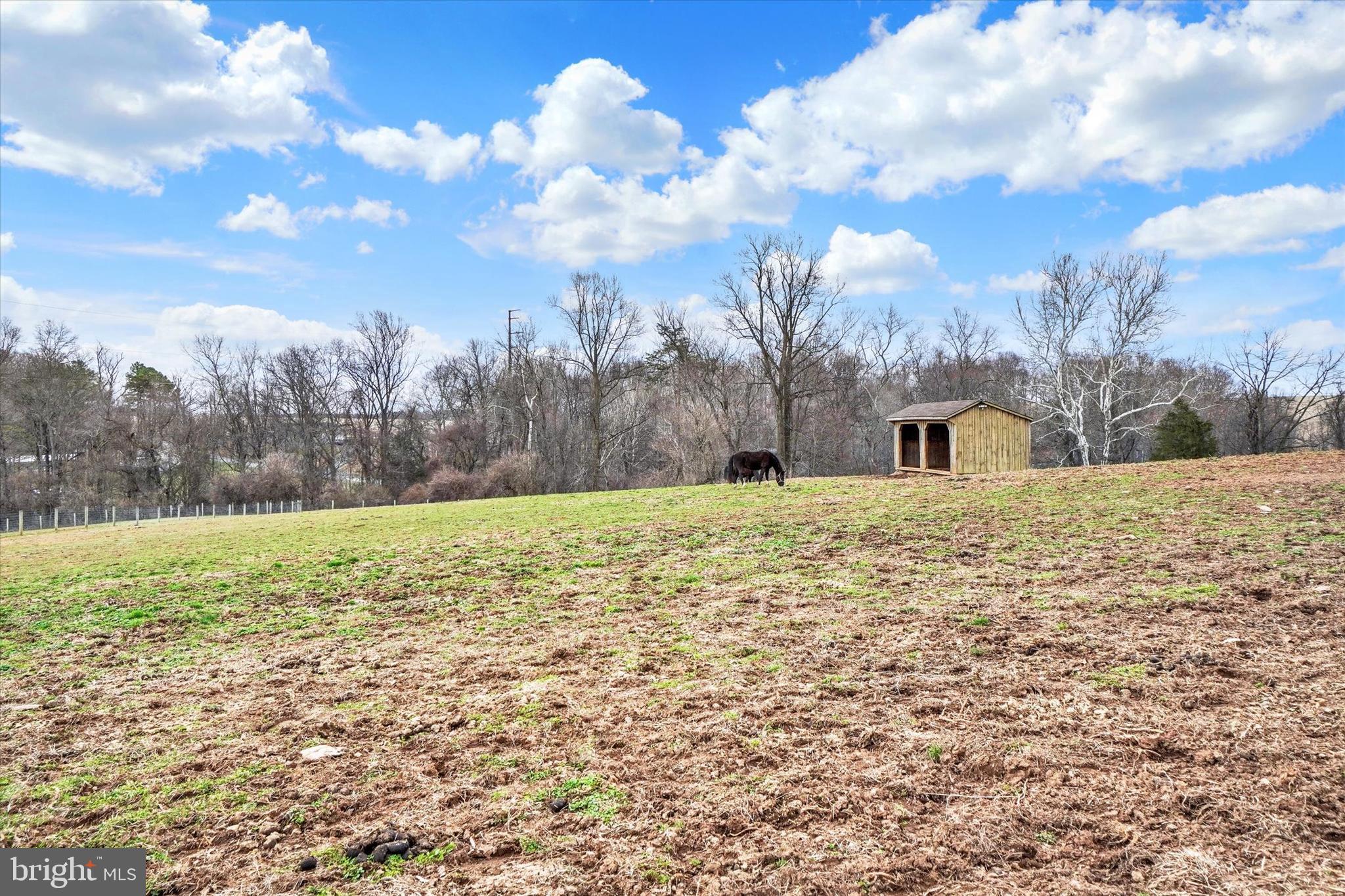 8272 Woodbine Road Airville, PA 17302 - Photo 54 of 68 Fenced Paddocks/Pastures