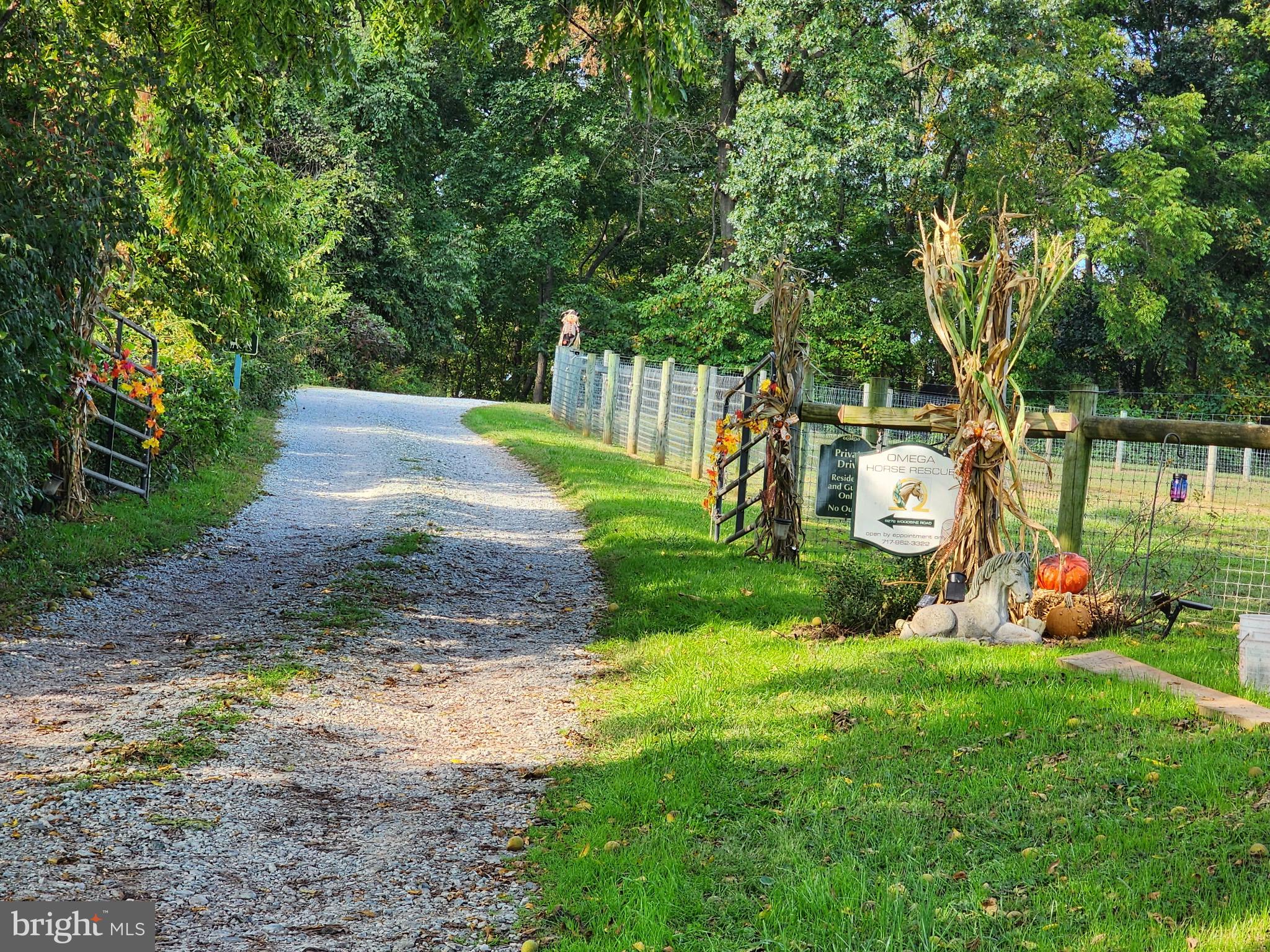 8272 Woodbine Road Airville, PA 17302 - Photo 62 of 77 Owner Photo showing Private Lane