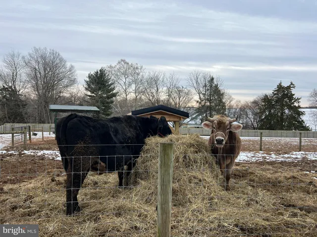 $1,450,000 | 8272 Woodbine Road, Airville, PA 17302