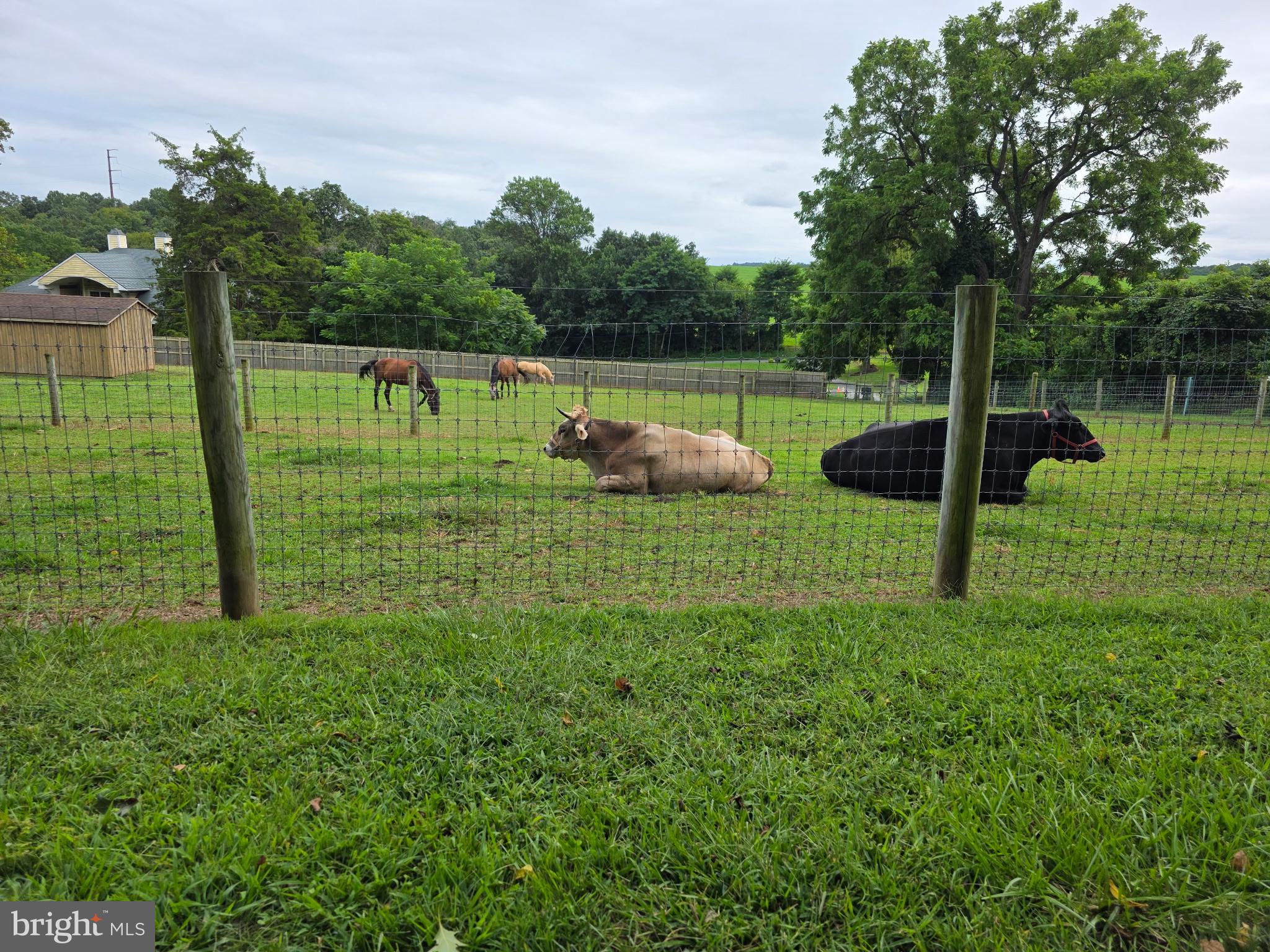 8272 Woodbine Road Airville, PA 17302 - Photo 72 of 77 Owner Photo