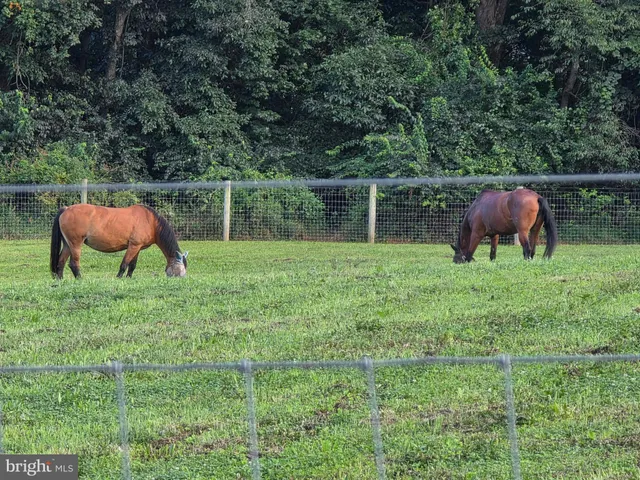 $1,450,000 | 8272 Woodbine Road, Airville, PA 17302