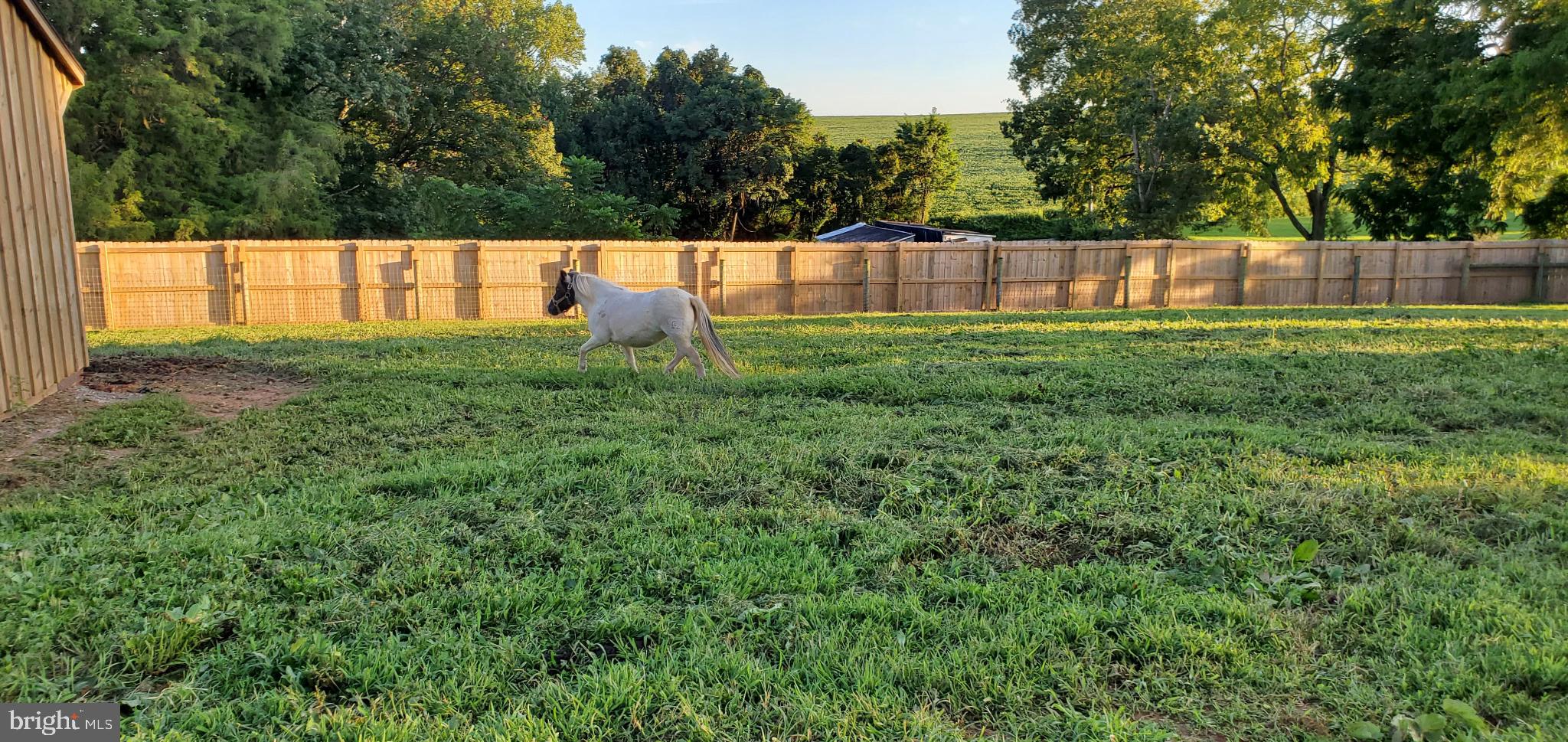 8272 Woodbine Road Airville, PA 17302 - Photo 74 of 77 Owner Photo