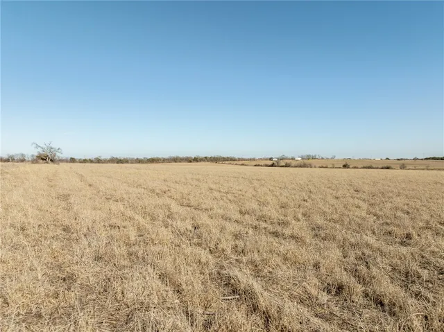 a view of an ocean beach