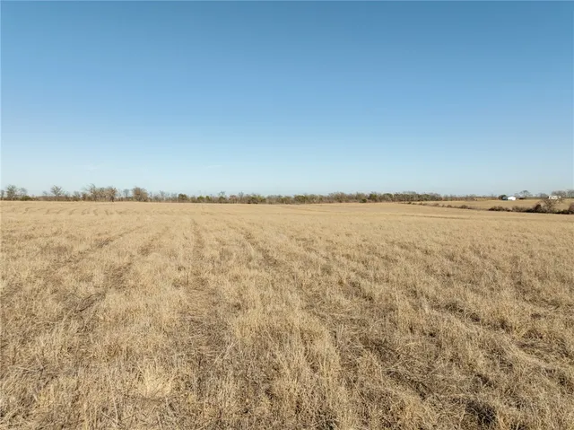 a view of beach and trees