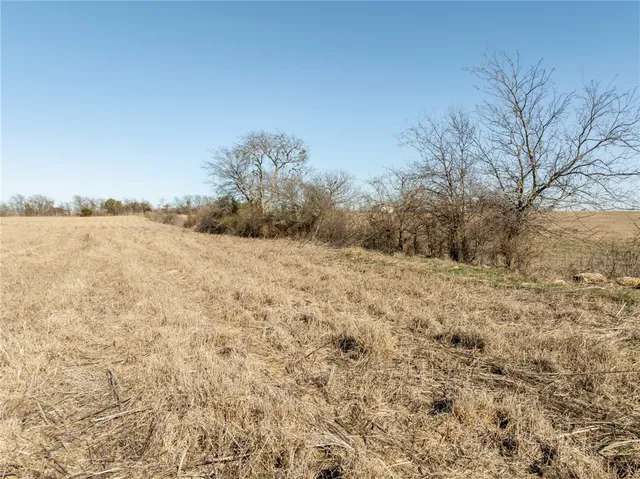 a view of an ocean beach
