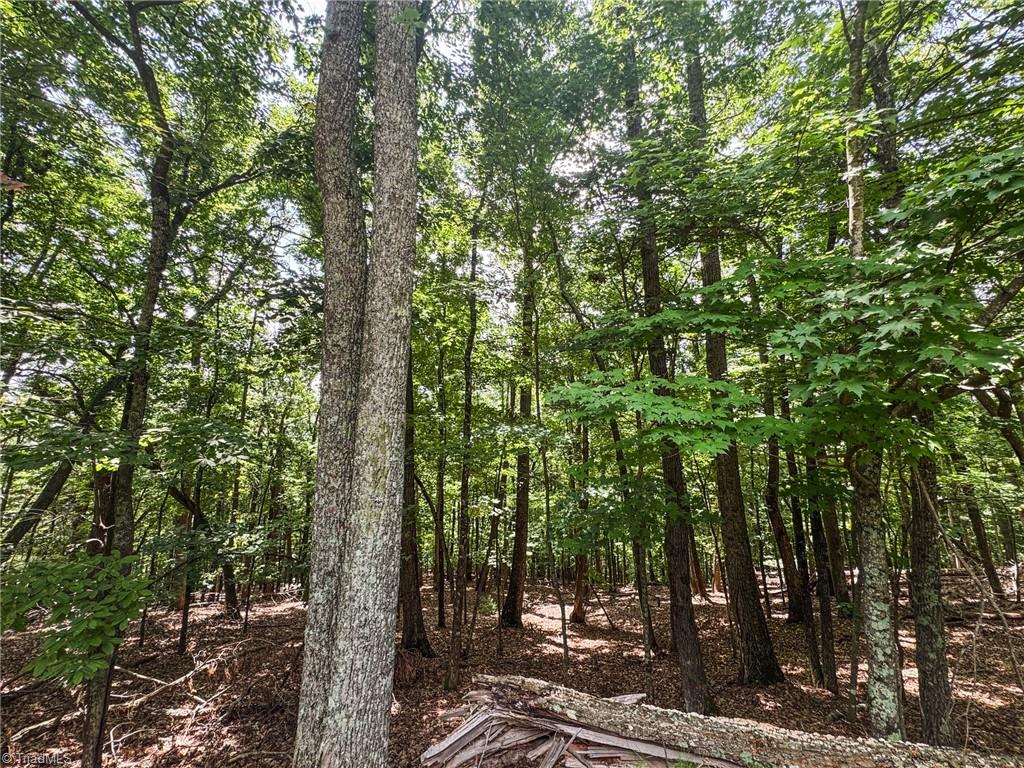 Tbd Spencer Ridge Road McGrady, NC 28649 - Photo 10 of 23 Gallery Image 10