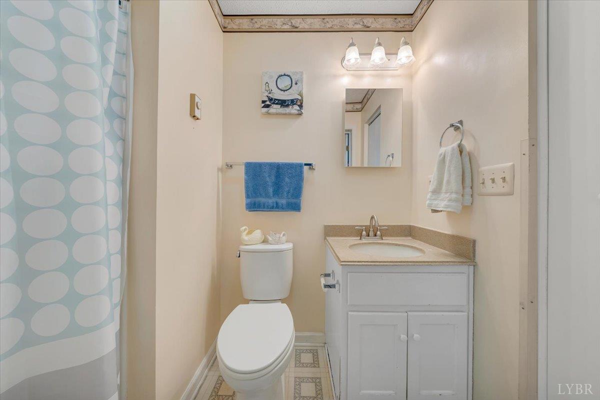 1124 Homeplace Road Bedford, VA 24523 - Photo 22 of 47 a bathroom with a granite countertop toilet sink and mirror