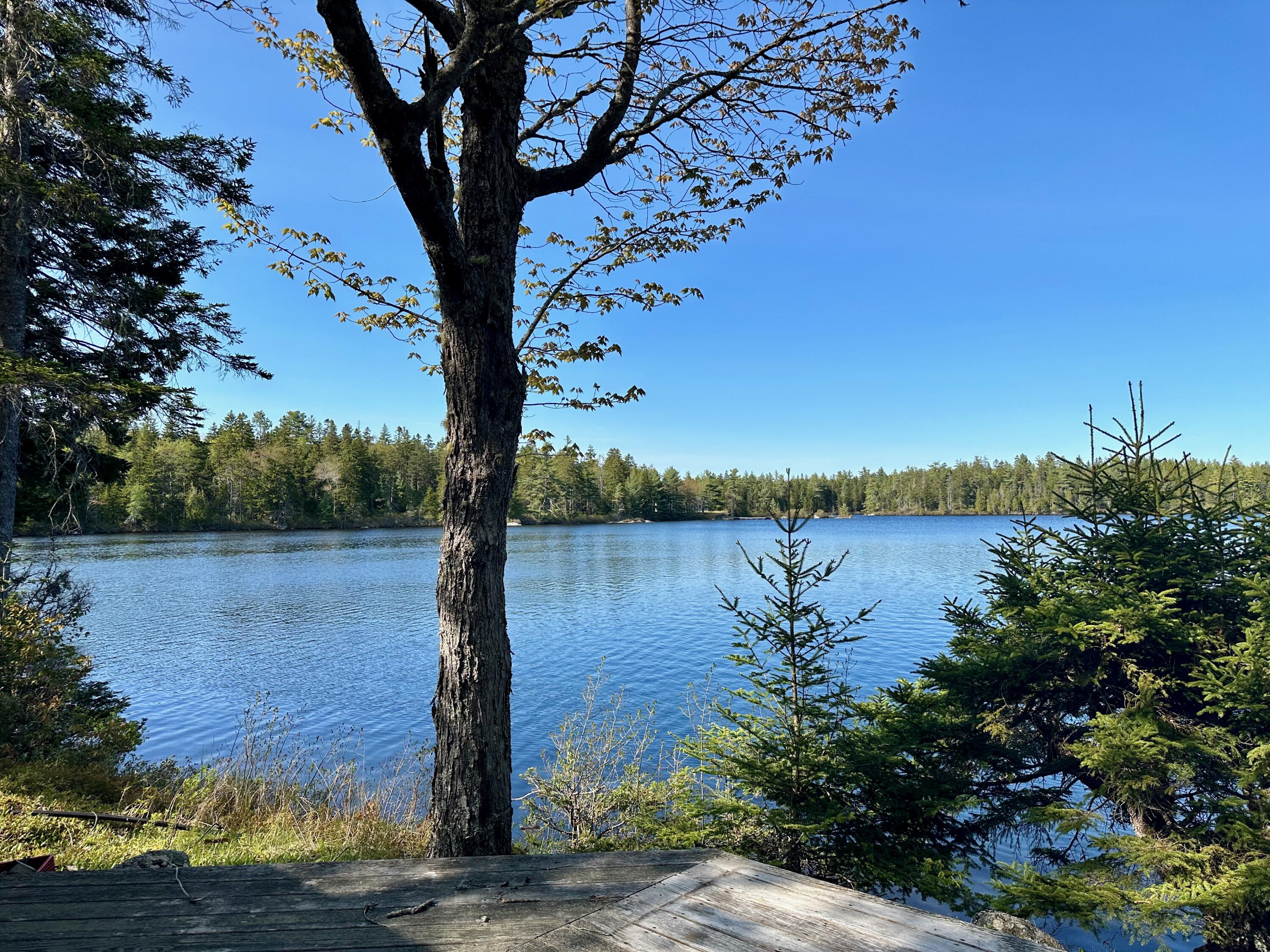 819 Northfield Road Marshfield, ME 04654 - Photo 19 of 54 IMG_0614