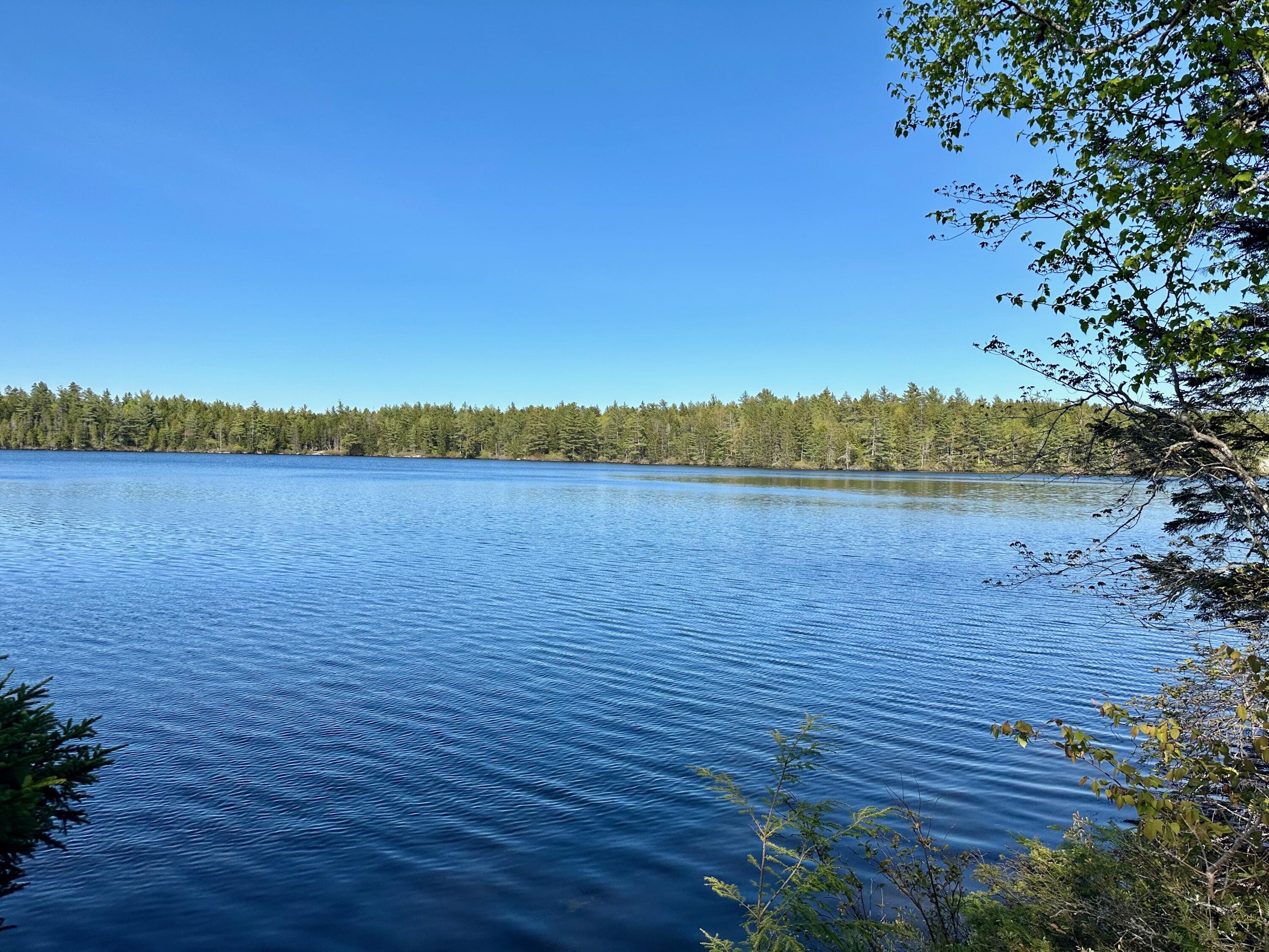 819 Northfield Road Marshfield, ME 04654 - Photo 21 of 54 IMG_0616