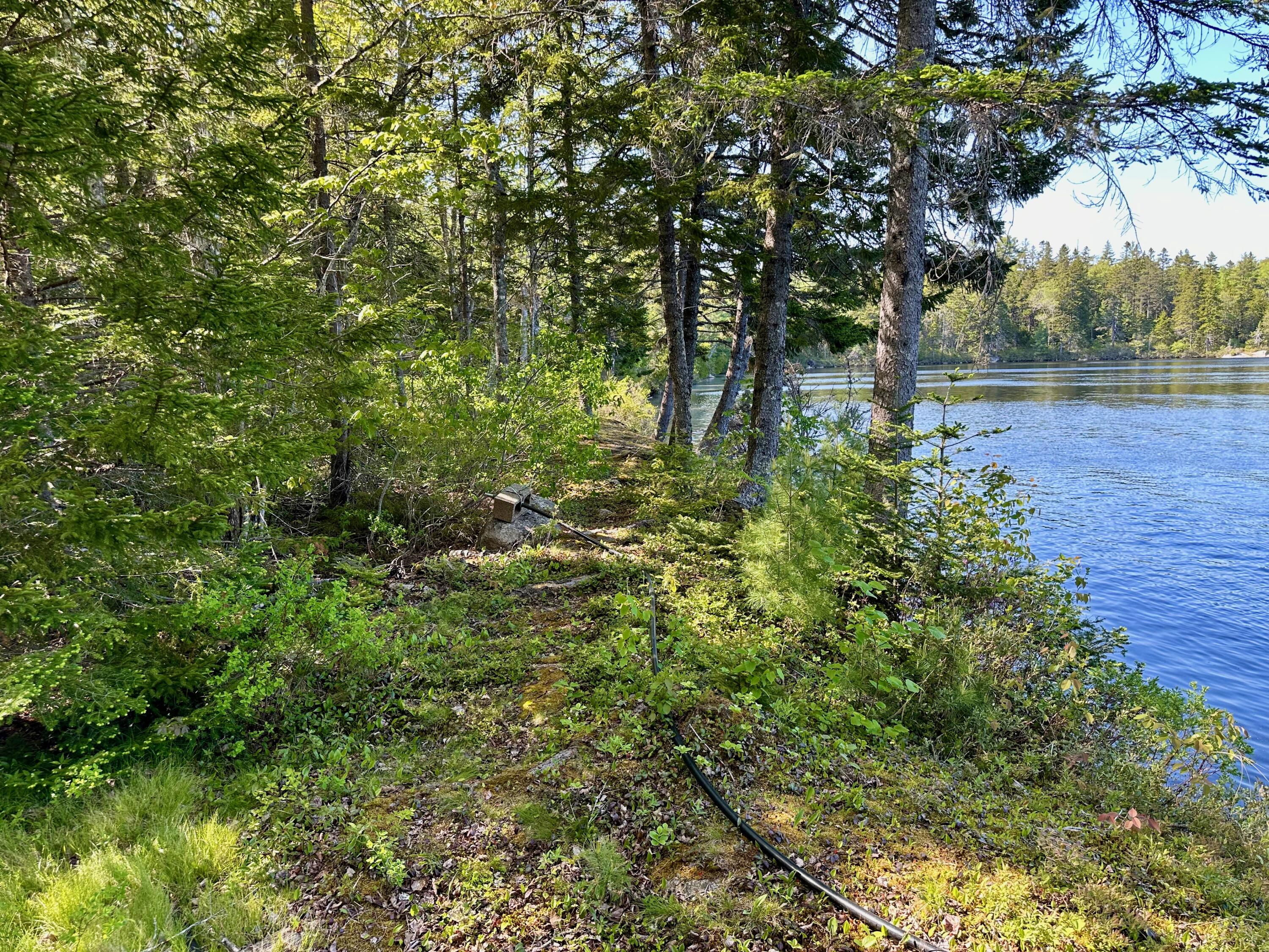 819 Northfield Road Marshfield, ME 04654 - Photo 28 of 54 IMG_0631