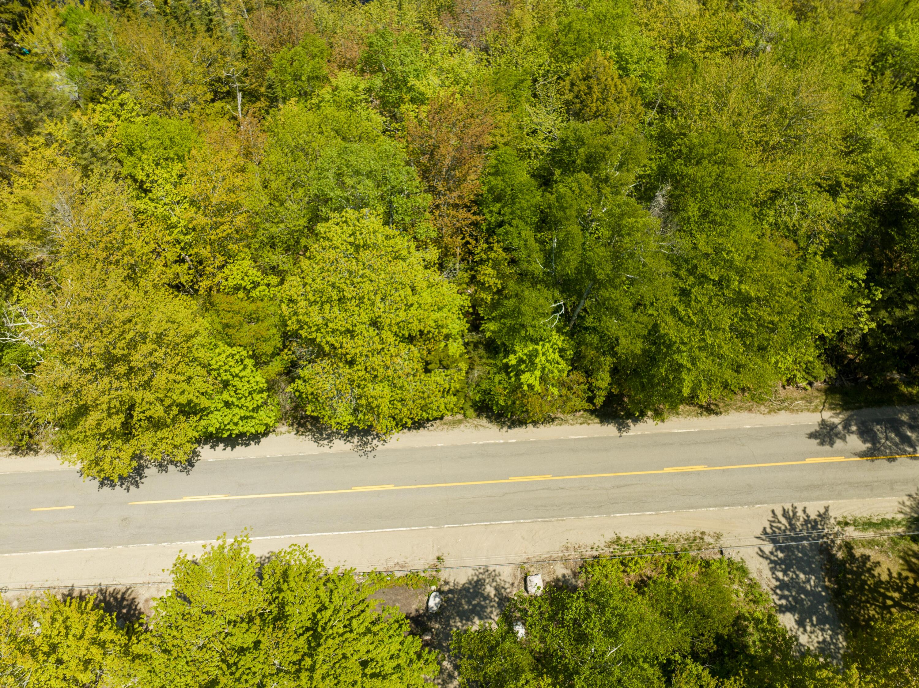 819 Northfield Road Marshfield, ME 04654 - Photo 37 of 54 819 Northfield Rd. Lot 6-16A (9 of 13)