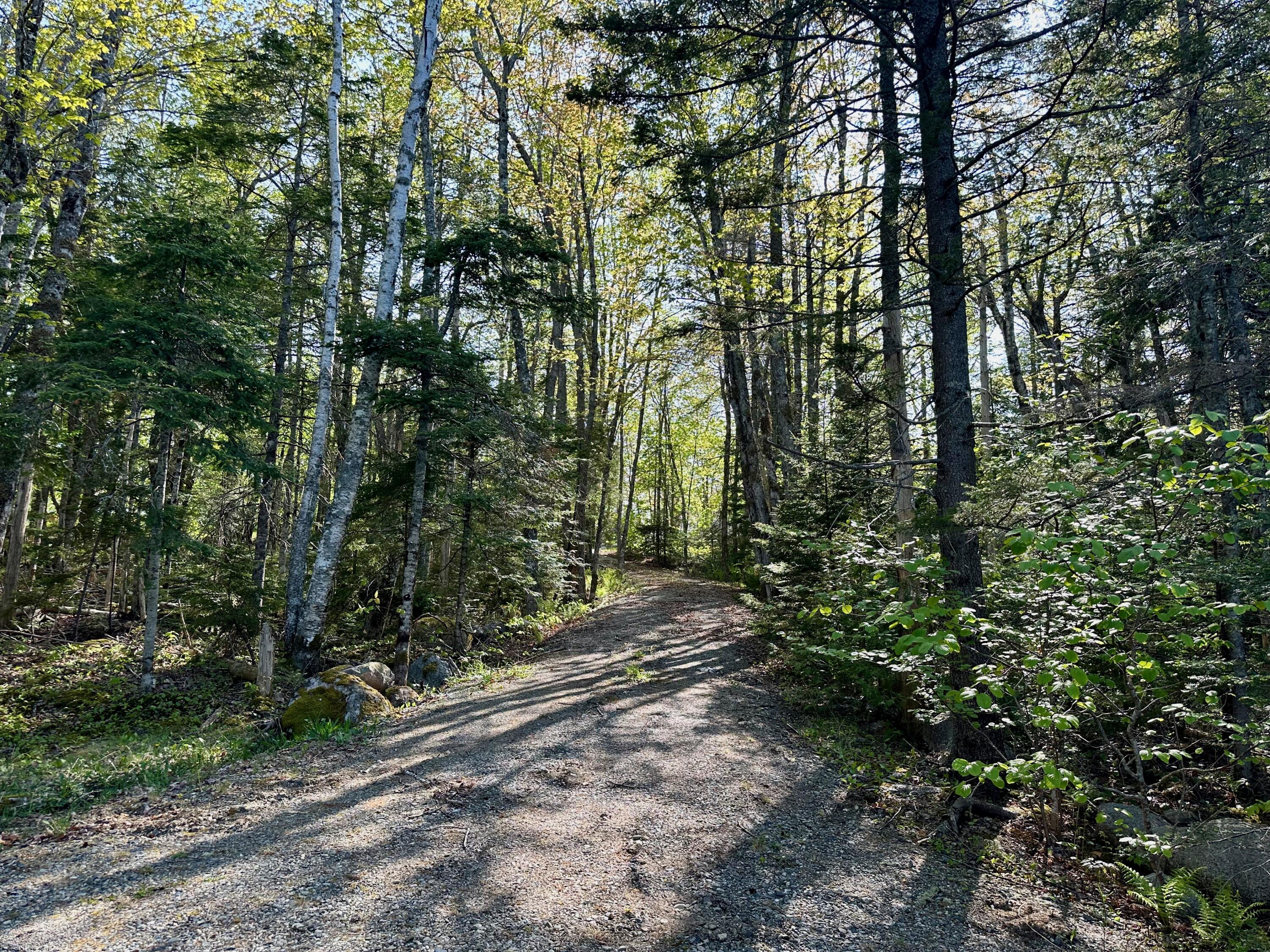 819 Northfield Road Marshfield, ME 04654 - Photo 40 of 54 IMG_0611