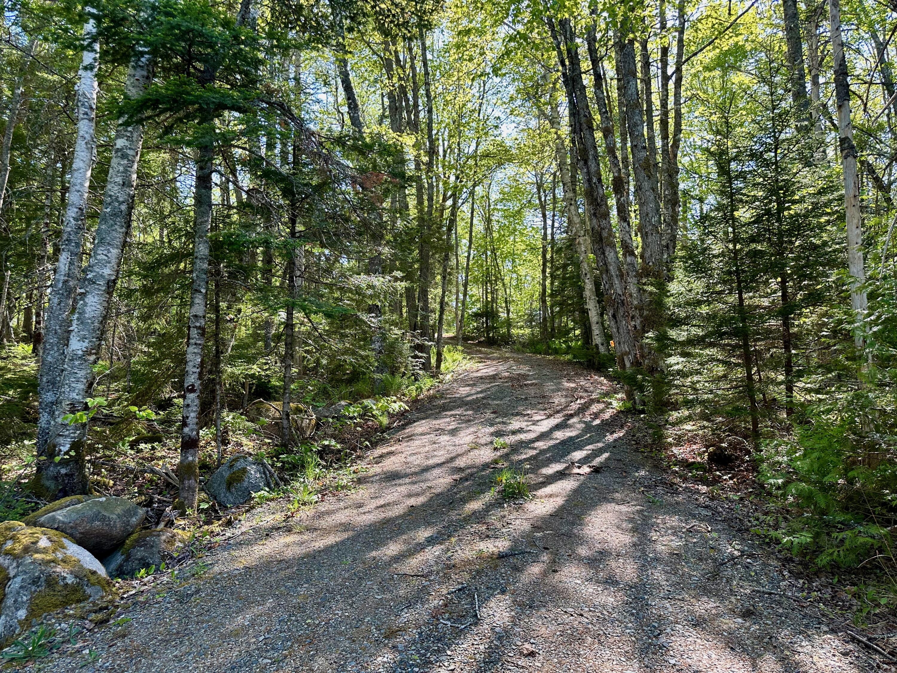 819 Northfield Road Marshfield, ME 04654 - Photo 41 of 54 IMG_0625