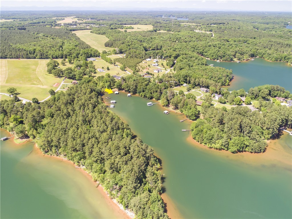 428 Broyles Point Road Townville, SC 29689 - Photo 4 of 24 Gallery Image 4