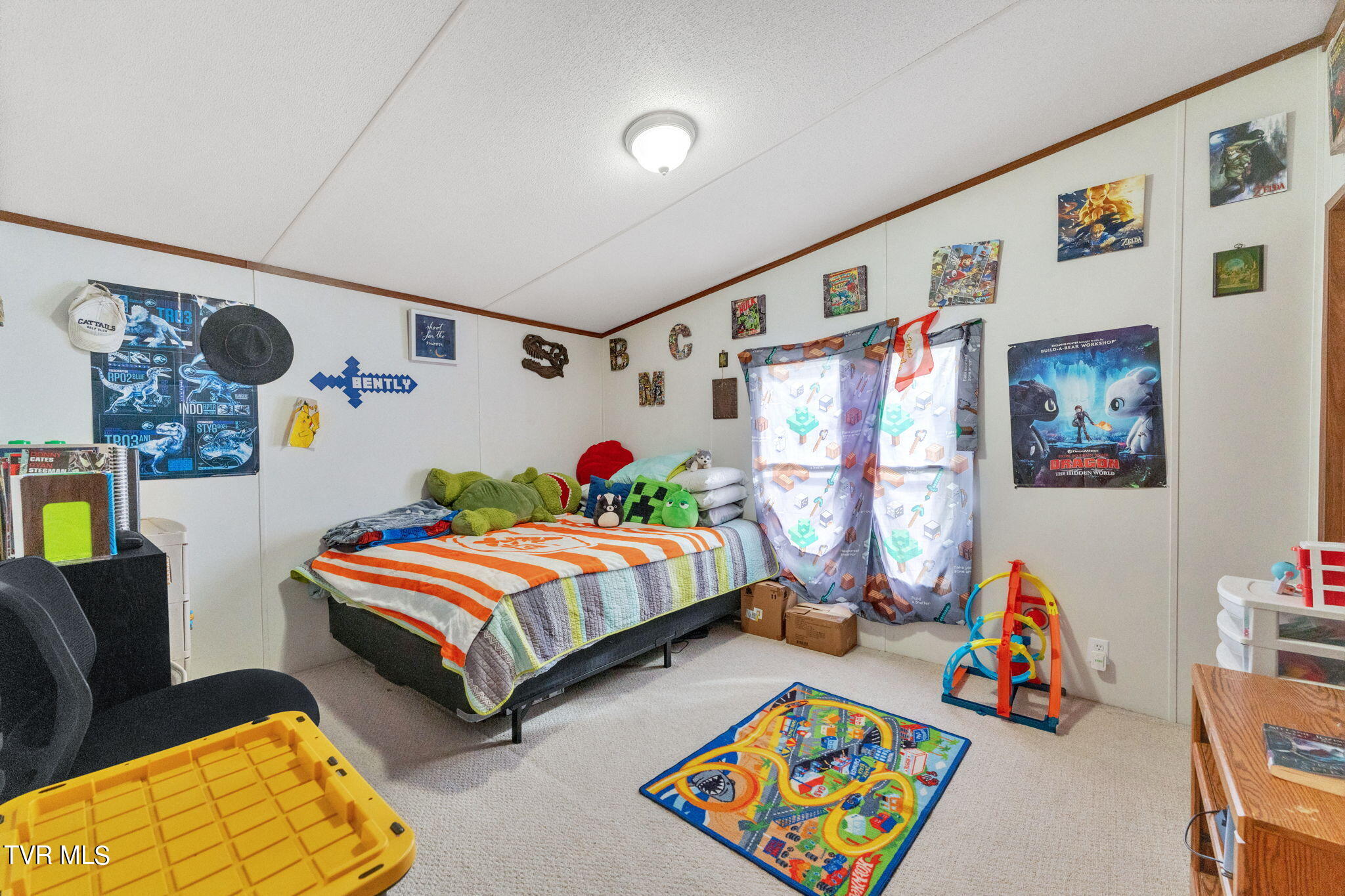101 Deadrick Street Erwin, TN 37650 - Photo 7 of 28 7-web-or-mls-DSC09234
