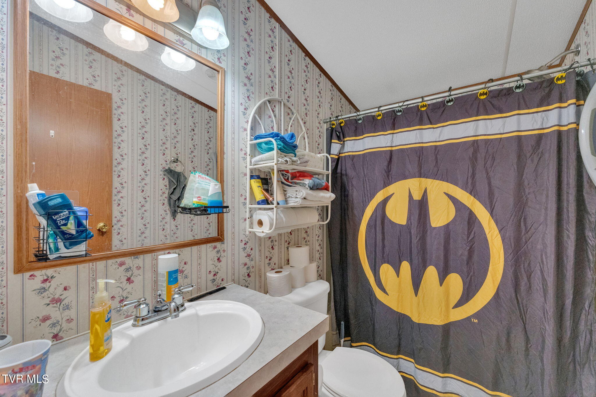 101 Deadrick Street Erwin, TN 37650 - Photo 10 of 28 10-web-or-mls-DSC09243