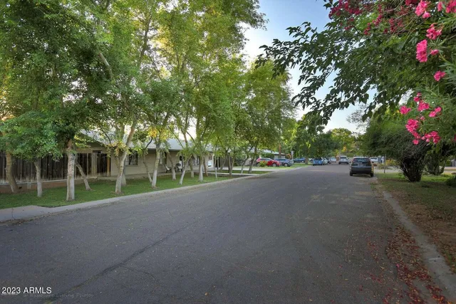 a view of road with trees and grass