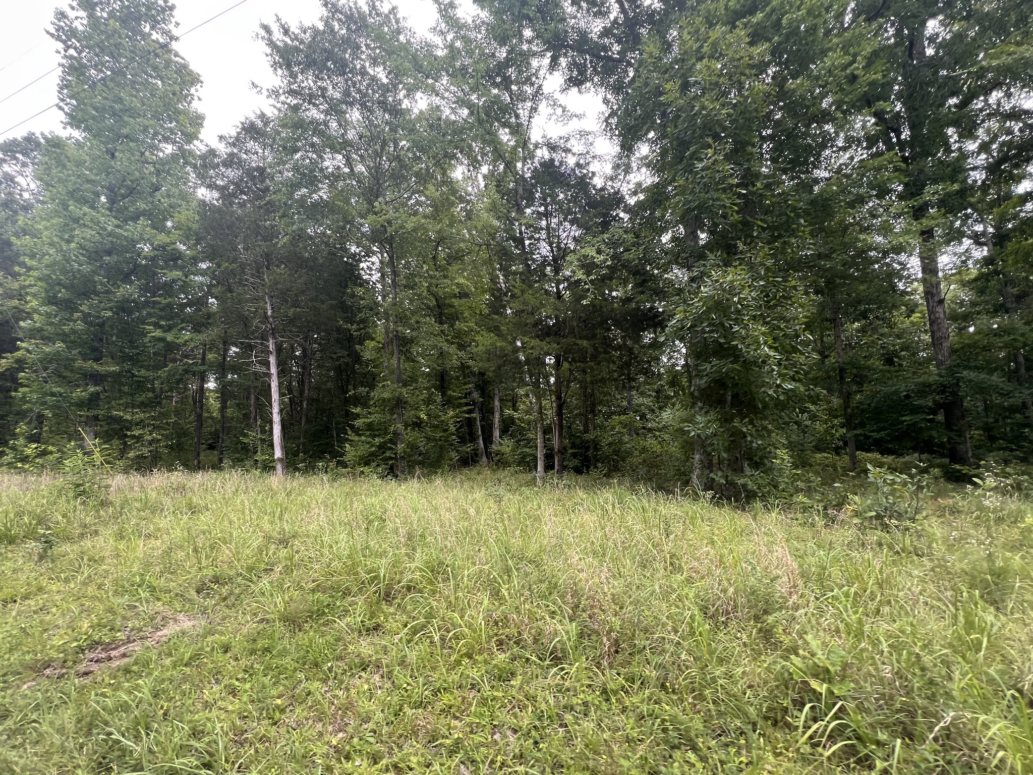 2 Toms Creek Lake Road Linden, TN 37096 - Photo 1 of 11