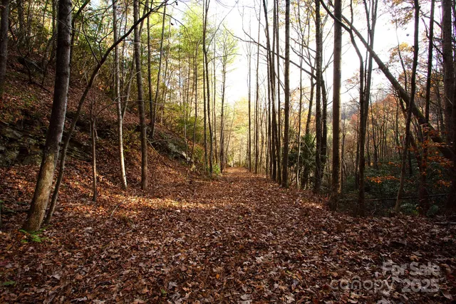 a view of a yard of the house