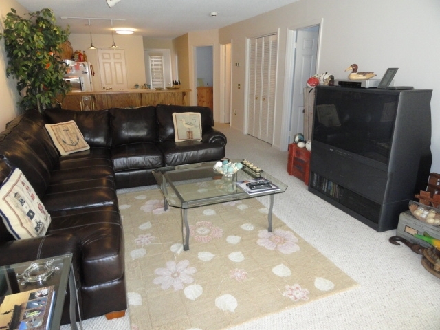 650 Monte Vista Road, Unit 401 Union Hall, VA 24176 - Photo 14 of 40 Great Room