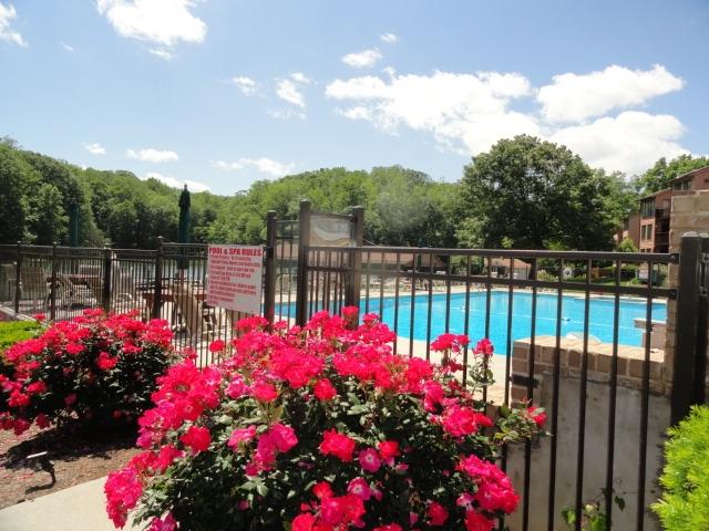 650 Monte Vista Road, Unit 401 Union Hall, VA 24176 - Photo 32 of 40 Pool and flower