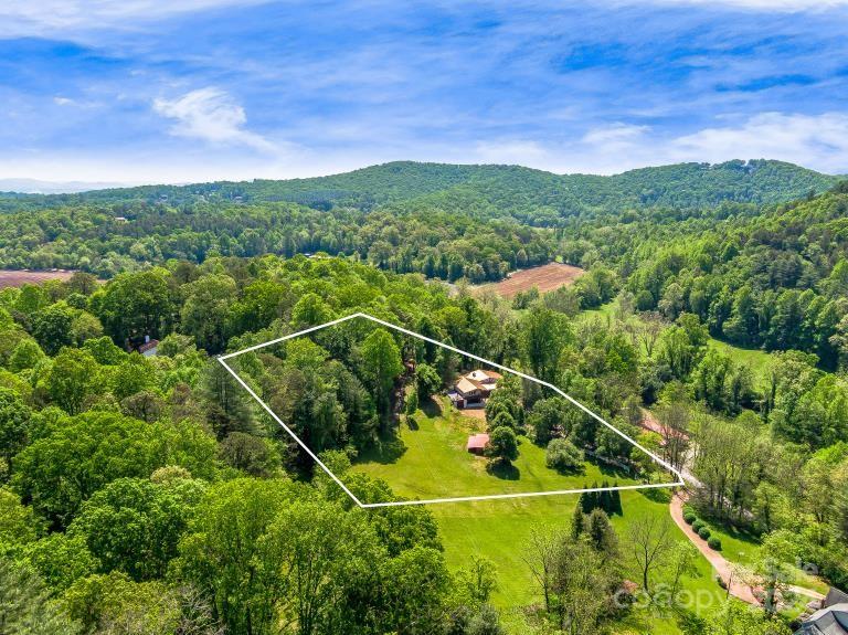 346 River Loop Road Mills River, NC 28759 - Photo 4 of 47