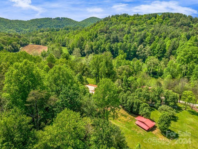 346 River Loop Road Mills River, NC 28759 - Photo 42 of 47
