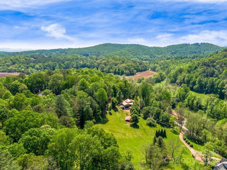 346 River Loop Road Mills River, NC 28759 - Photo 43 of 47