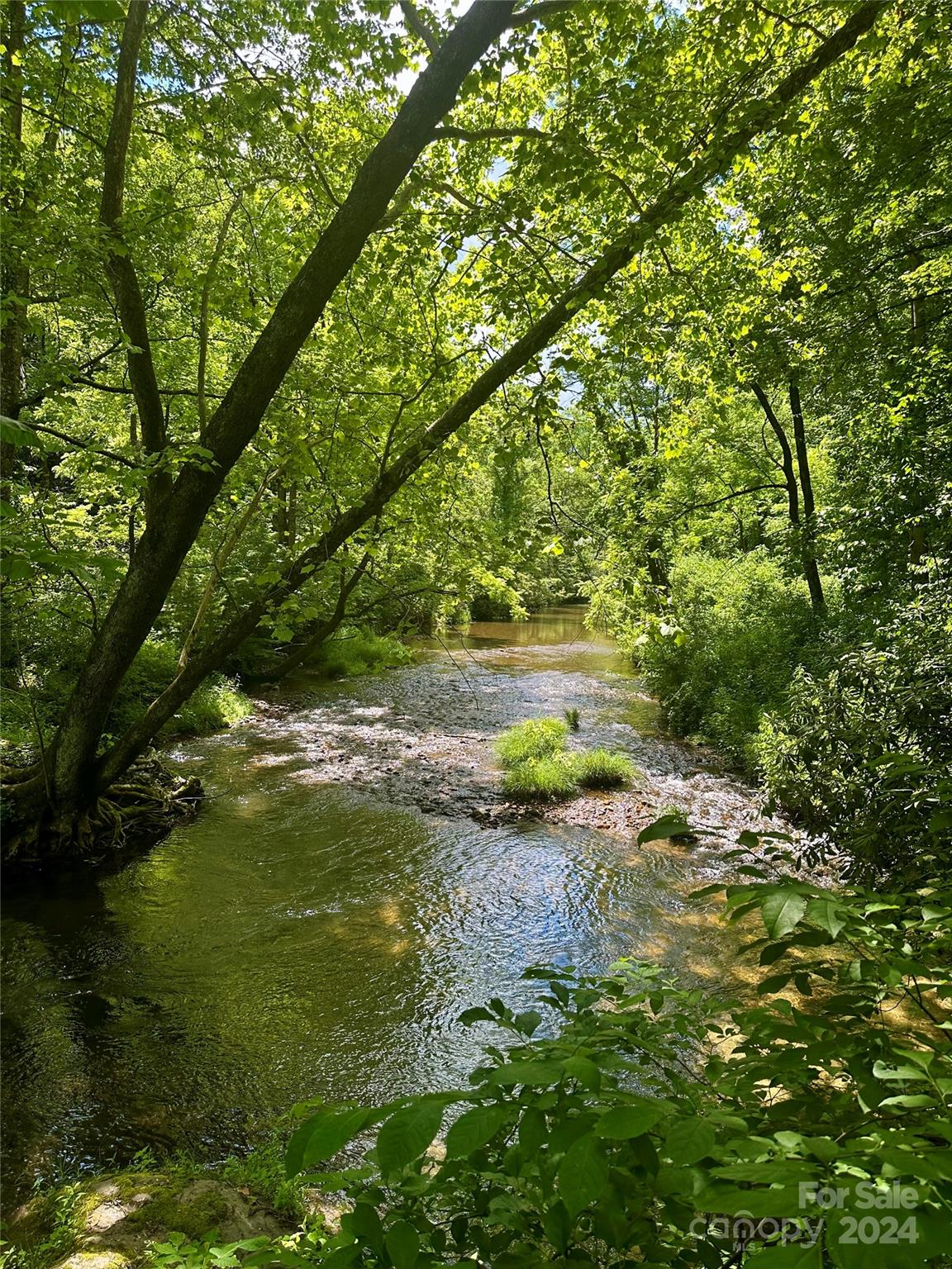 346 River Loop Road Mills River, NC 28759 - Photo 44 of 47