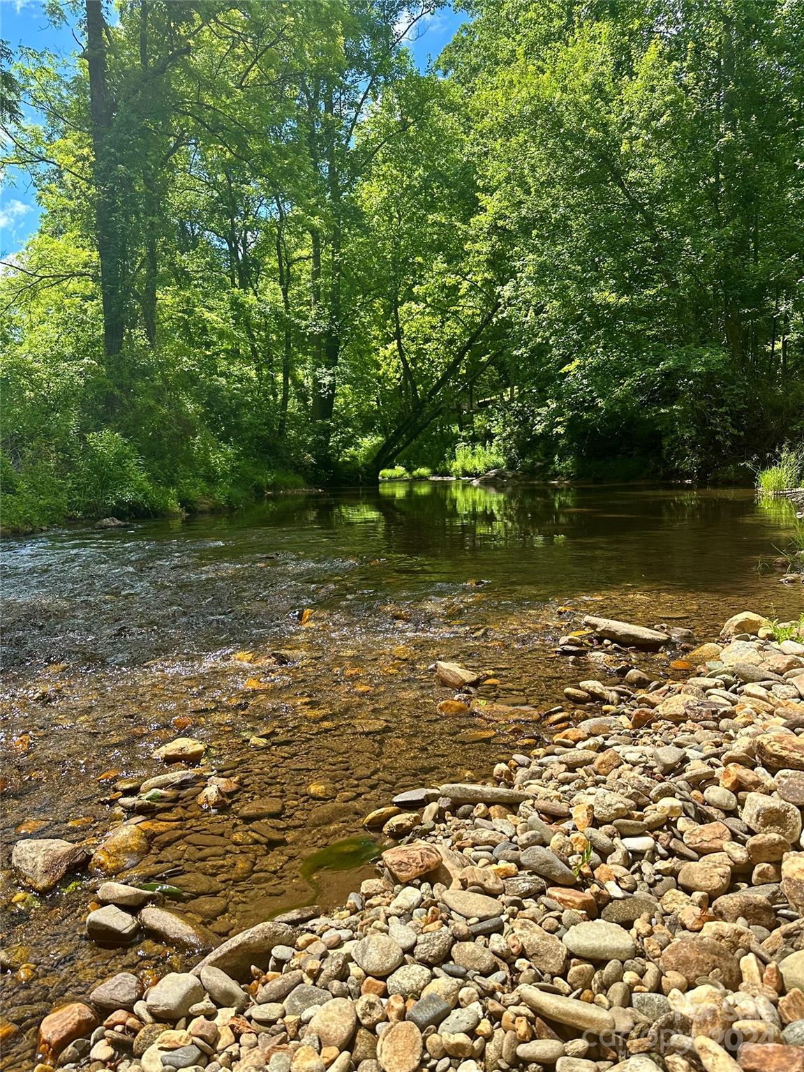 346 River Loop Road Mills River, NC 28759 - Photo 45 of 47
