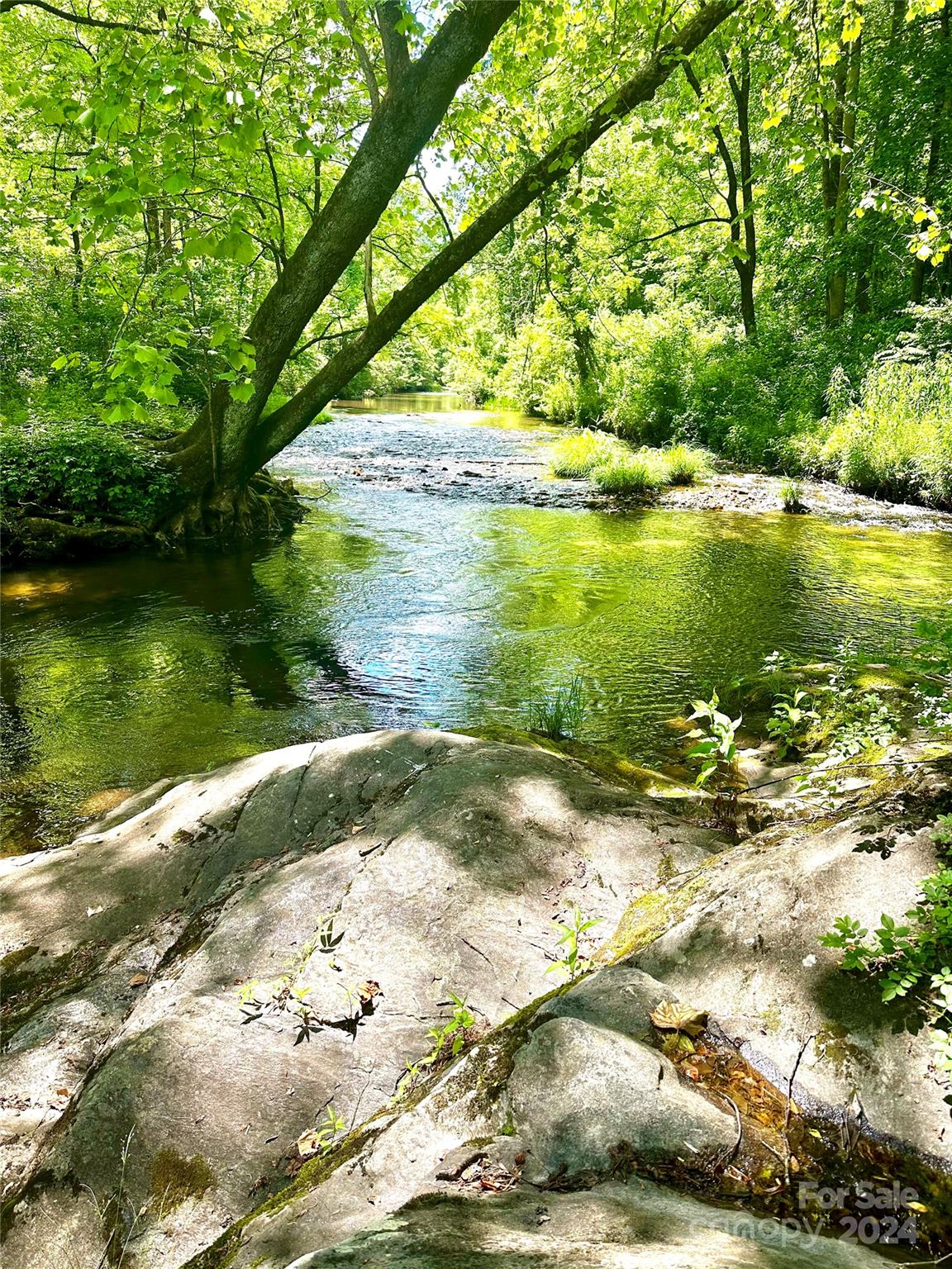 346 River Loop Road Mills River, NC 28759 - Photo 46 of 47