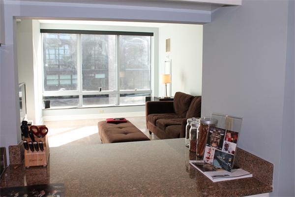 3 Avery Street, Unit 507 Boston, MA 02111 - Photo 6 of 13