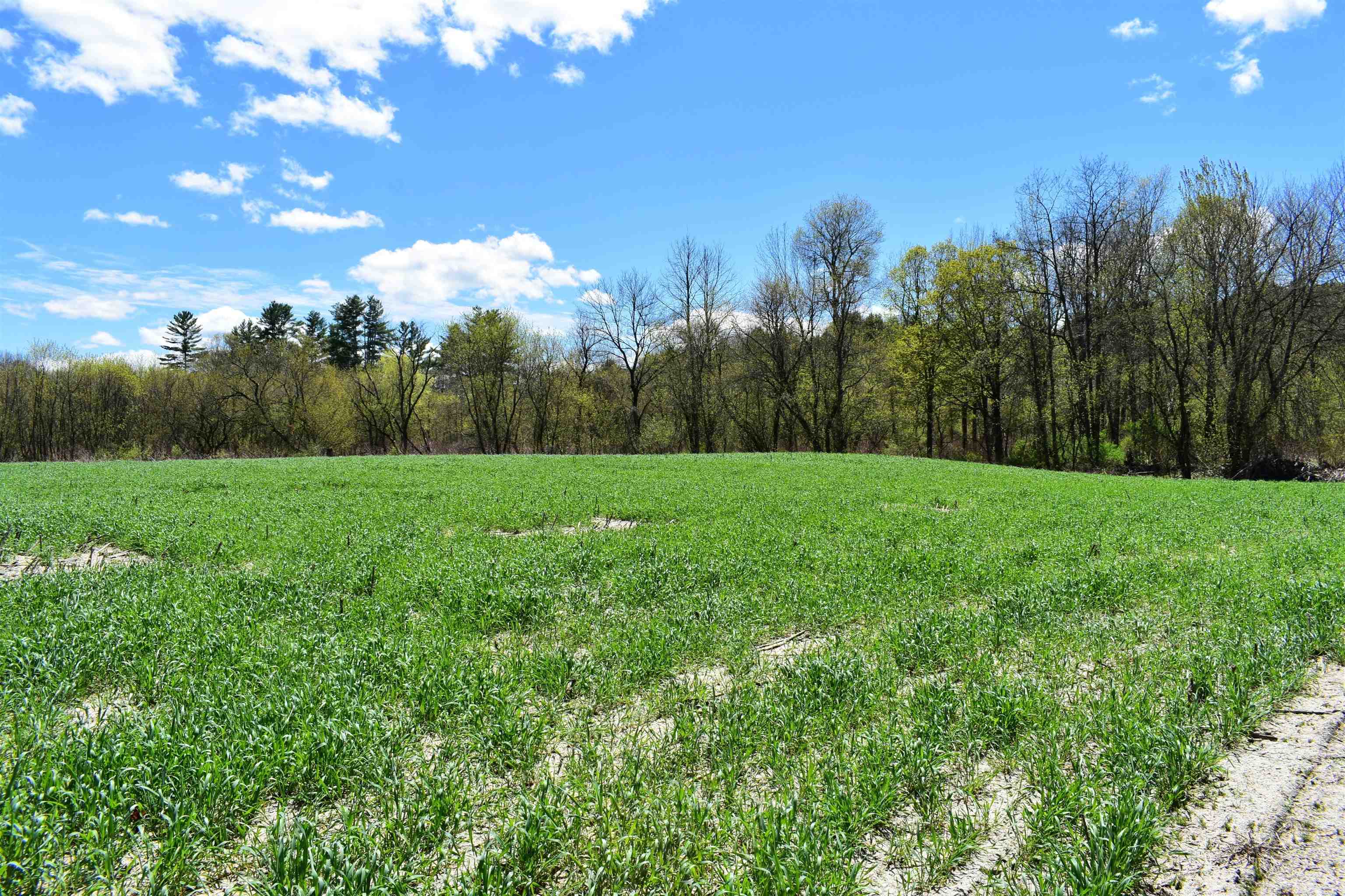 1850 Stock Farm Road, Unit 68 Randolph, VT 05060 - Photo 8 of 25