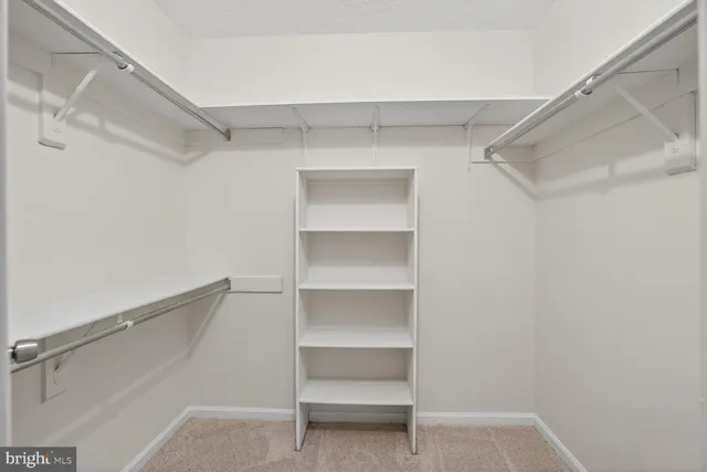 a view of an empty walk in closet