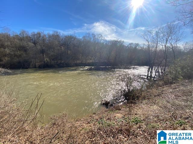 714 Old Walker Road Cleveland, AL 35049 - Photo 3 of 47