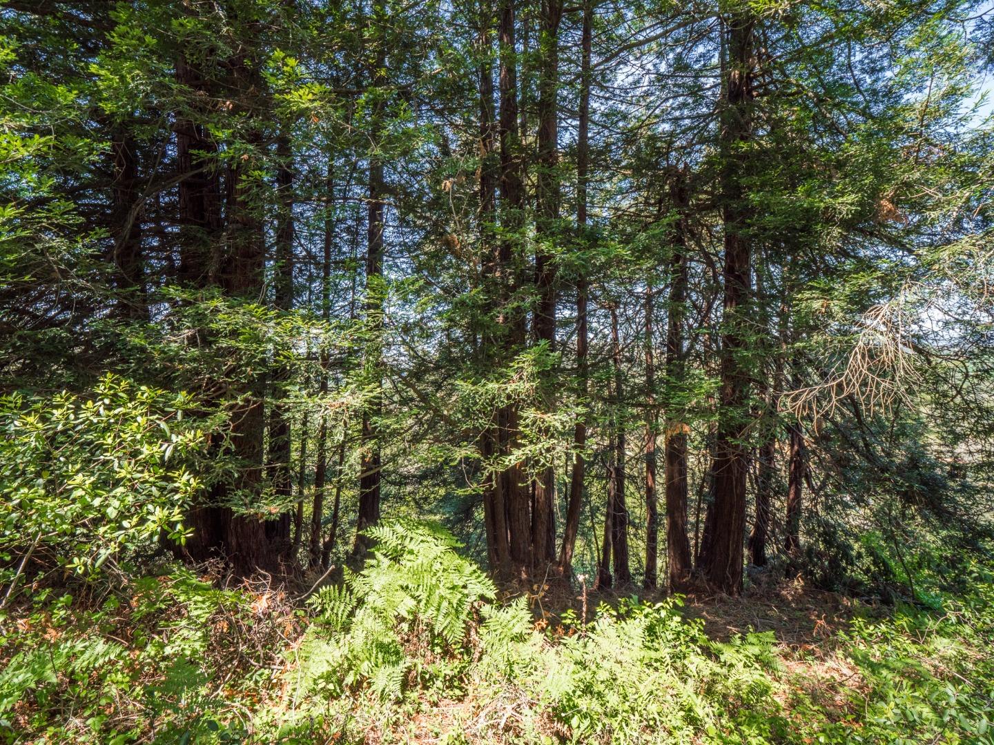 887 Larkin Valley Road Watsonville, CA 95076 - Photo 13 of 39 Gallery Image 13
