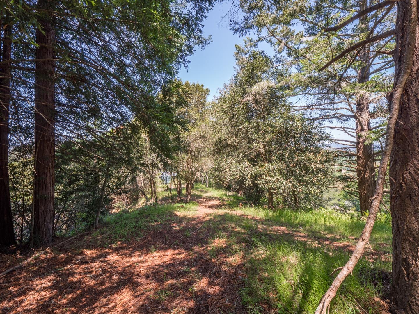 887 Larkin Valley Road Watsonville, CA 95076 - Photo 15 of 39 Gallery Image 15