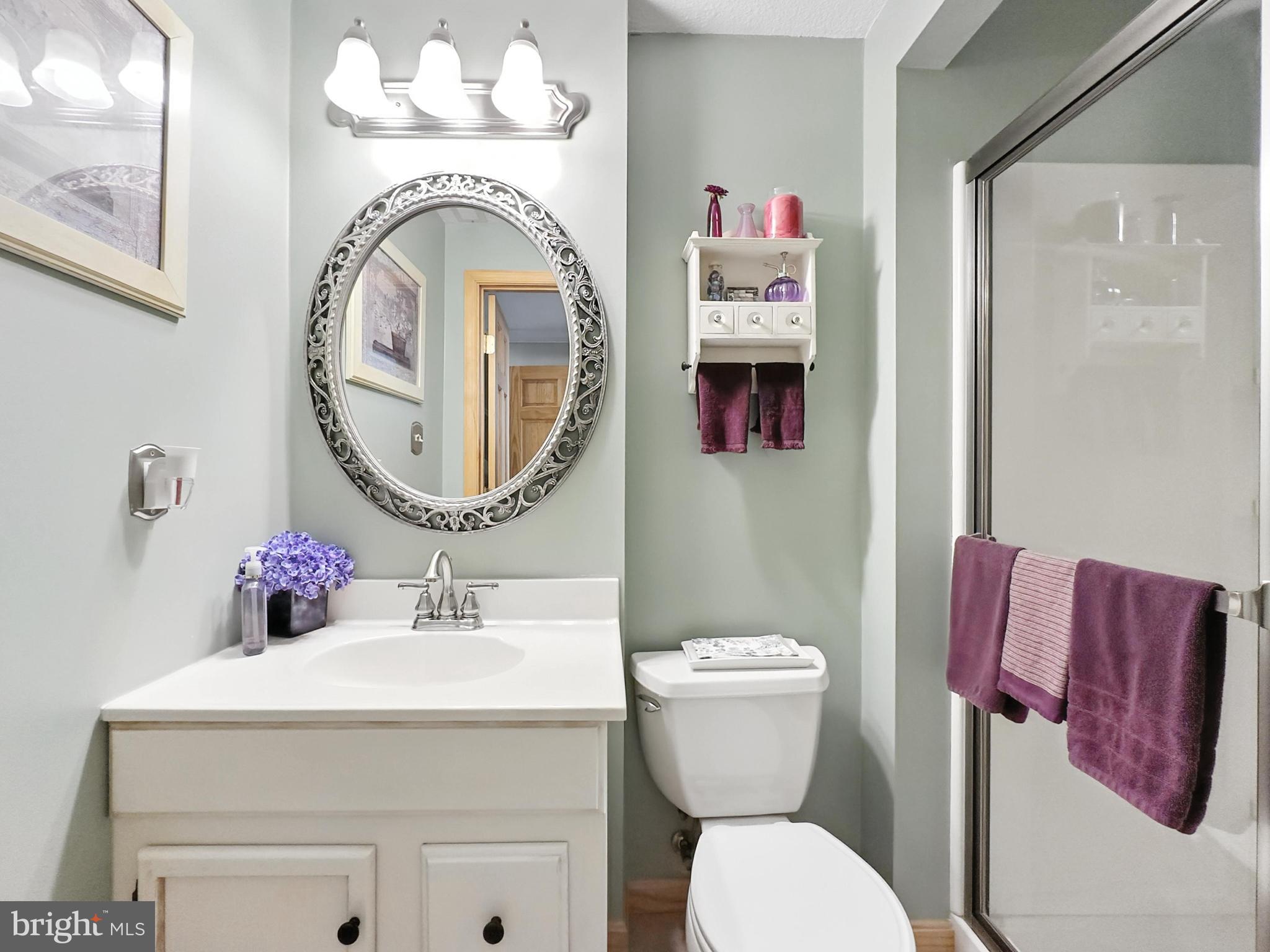 25744 Woodfield Road Damascus, MD 20872 - Photo 35 of 43 Charming bathroom with elegant accents.