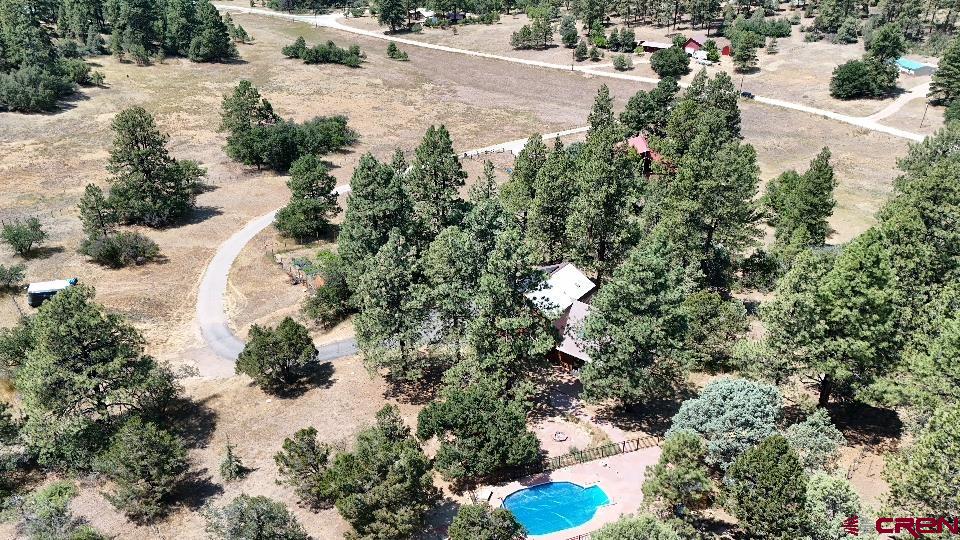 1310 Meadow Road Durango, CO 81303 - Photo 2 of 45 a view of a tree in a yard