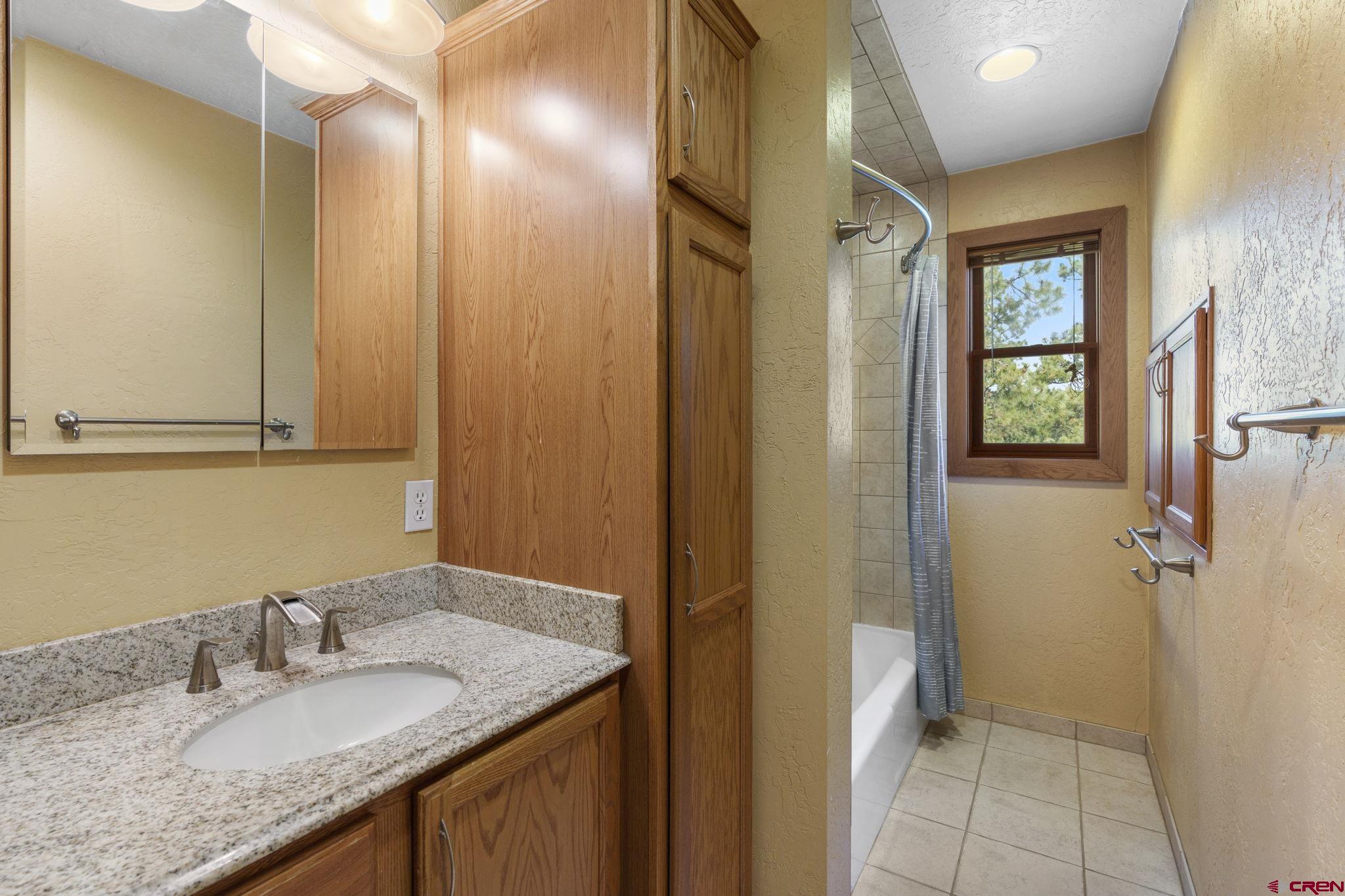 1310 Meadow Road Durango, CO 81303 - Photo 30 of 45 a bathroom with a granite countertop sink and a mirror