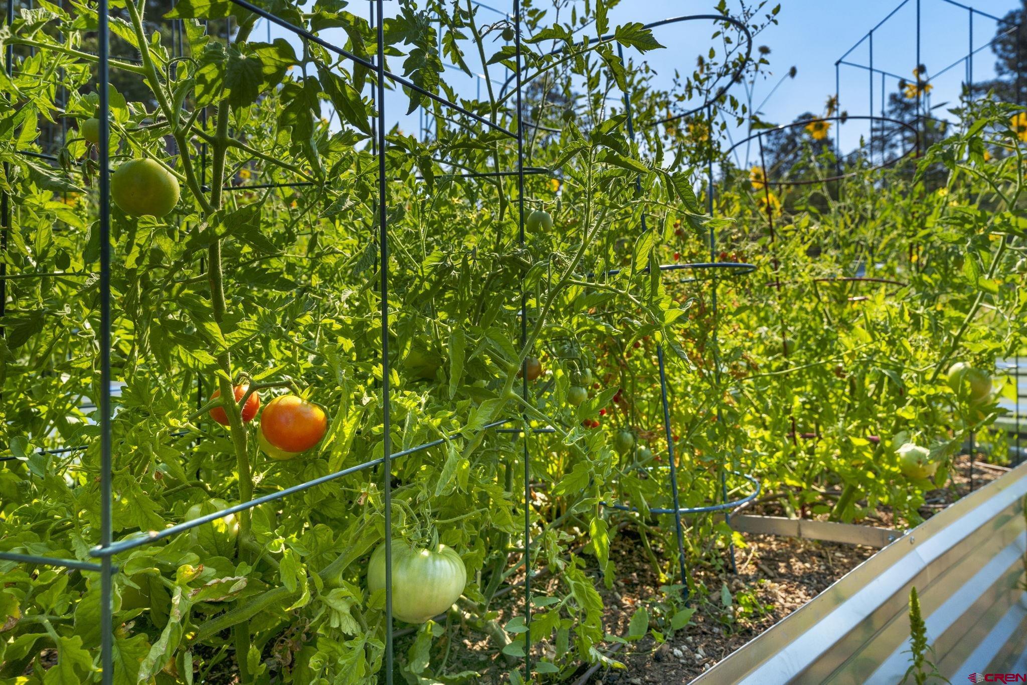 1310 Meadow Road Durango, CO 81303 - Photo 45 of 45 a view of a garden