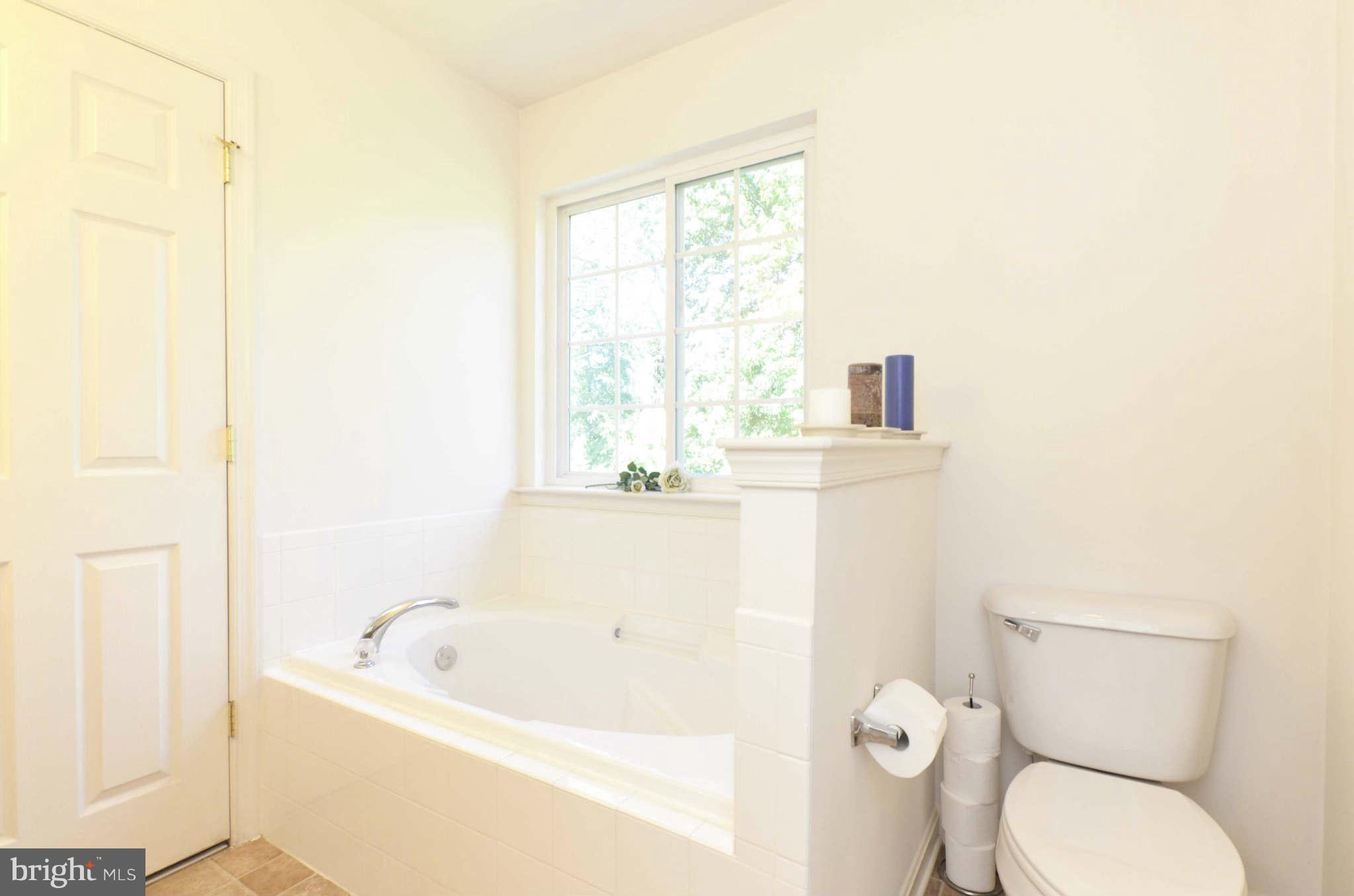 702 Rustic Court Perryville, MD 21903 - Photo 22 of 30 Bath (Master)
