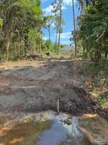 a view of a yard with a house