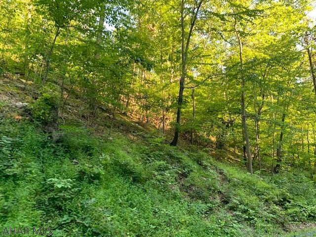 1009 A Six Mile Run Road Six Mile Run, PA 16679 - Photo 17 of 47 Gallery Image 17