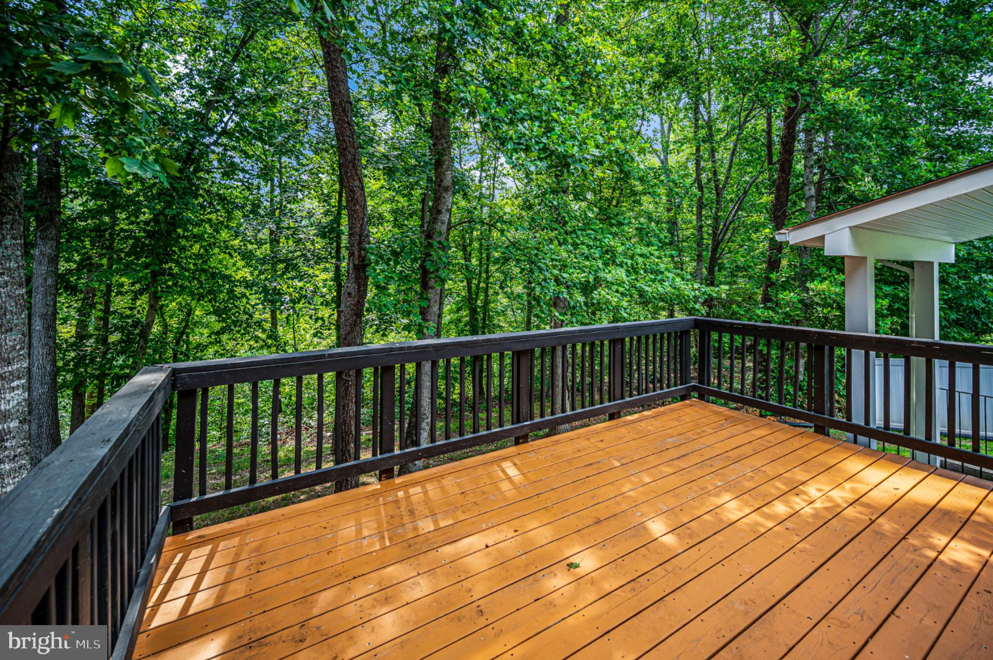 239 Toluca Road Stafford, VA 22556 - Photo 26 of 75 Serene deck nestled in lush greenery.