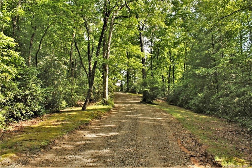 185 Davis Creek Road Murphy, NC 28906 - Photo 4 of 48 a view of a yard with trees