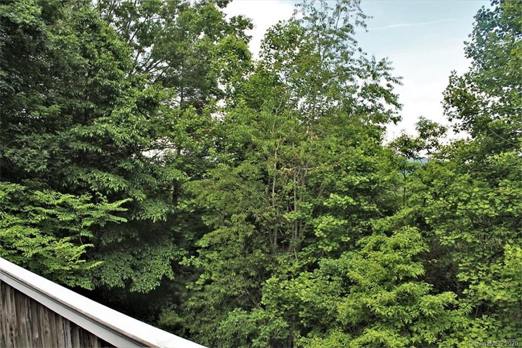 185 Davis Creek Road Murphy, NC 28906 - Photo 48 of 48 a view of a forest from a window