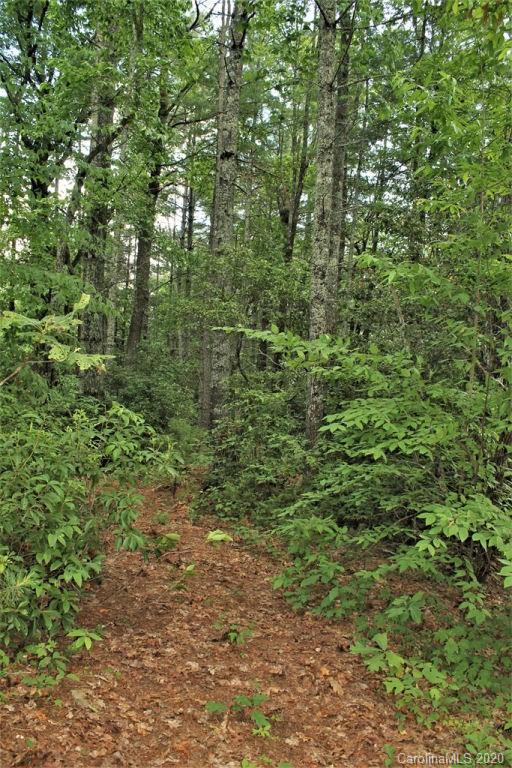 185 Davis Creek Road Murphy, NC 28906 - Photo 8 of 48 a view of a lush green forest