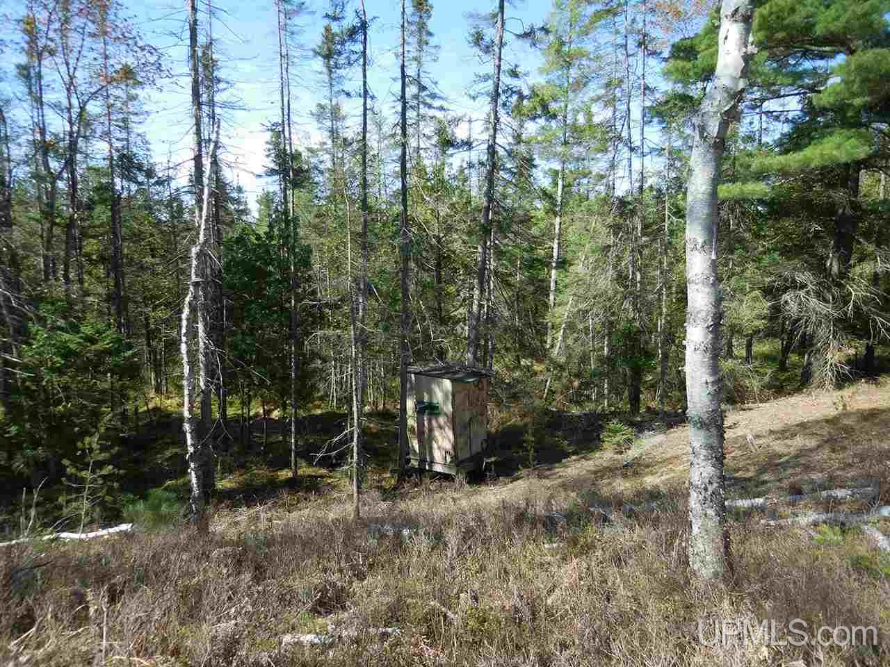 1480 Acres On Co Road Manistique, MI 49854 - Photo 30 of 49